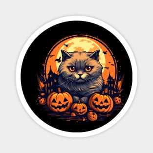 Scottish Fold Cat Halloween, Cat Lover Magnet